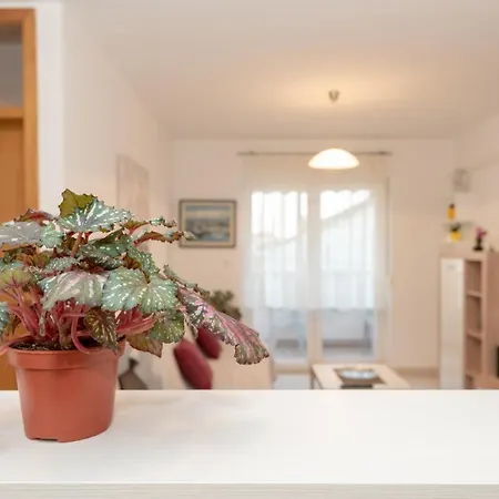 Valter Apartmán Zadar