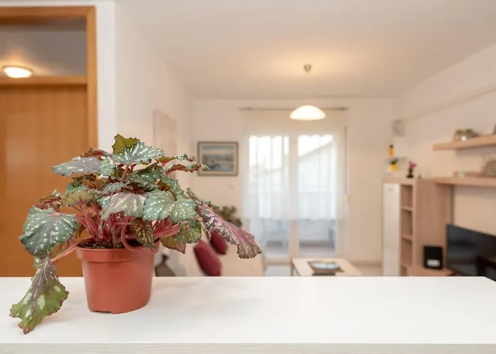 Valter Apartment Zadar